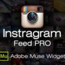 Instagram Feed Pro